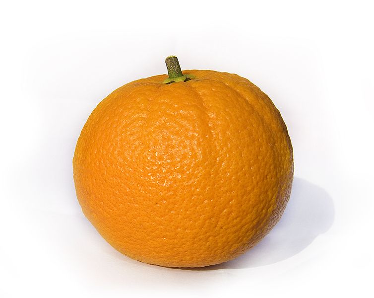 Fil:Navel orange1.jpg